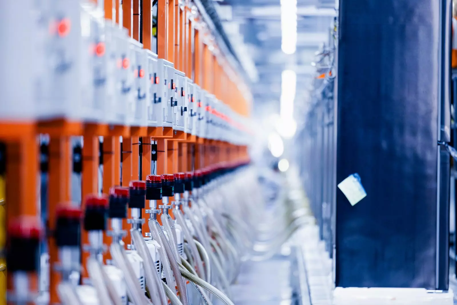 Digitalisierung und Nachhaltigkeit: Wie neue Technologien unsere Welt grüner machen